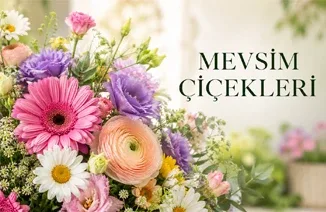Mevsim Çiçekleri
