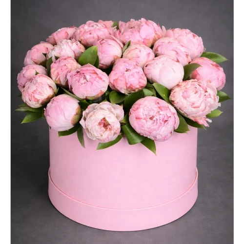 Pembe Kutu İçinde Pembe Şakayık 25 Adet